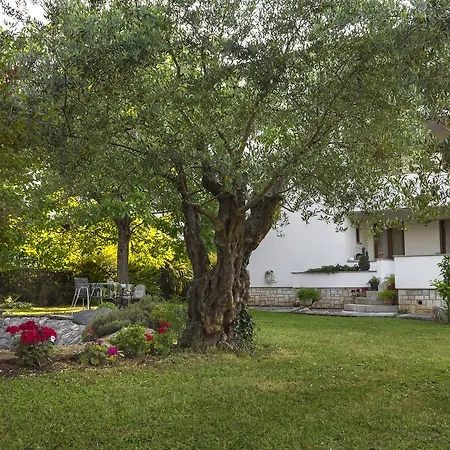 Urban Διαμέρισμα *